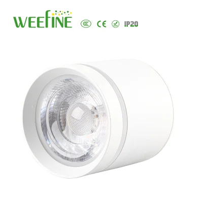 Architectural LED 4.5 Inch Cylinder Pendant Down Light